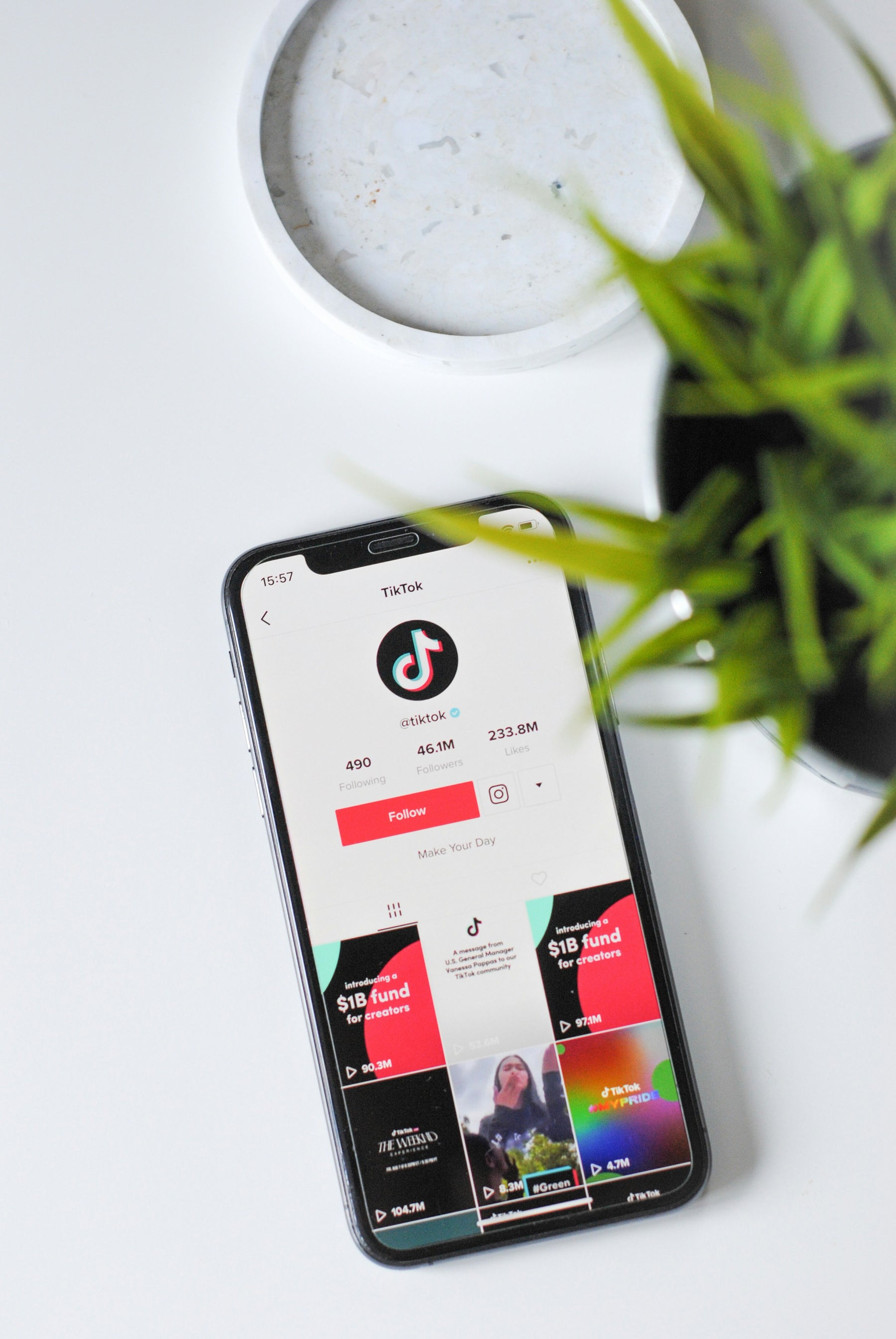 TikTok Verification Blue Check Mark